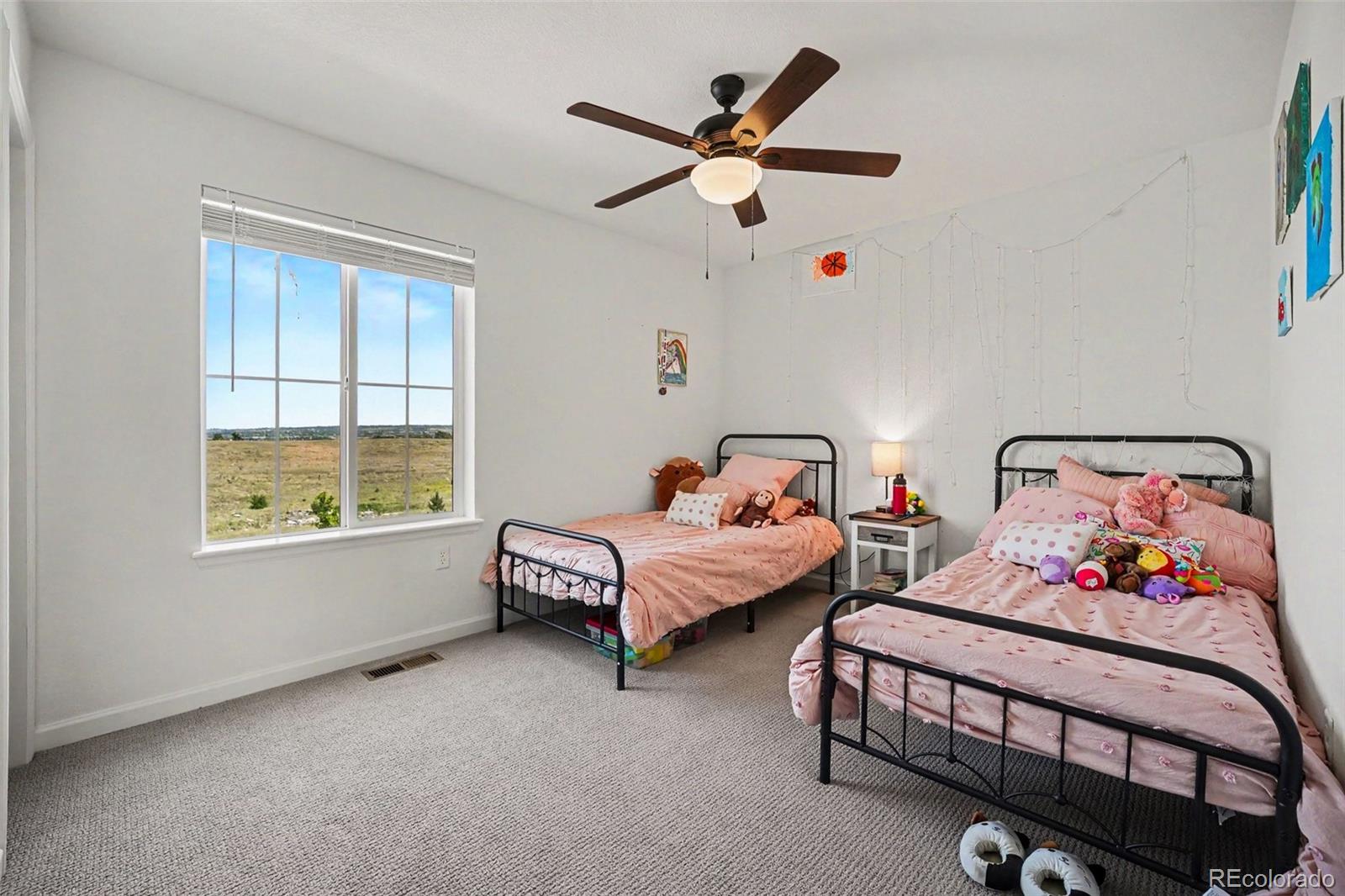 MLS Image #13 for 18246  martinello drive,parker, Colorado