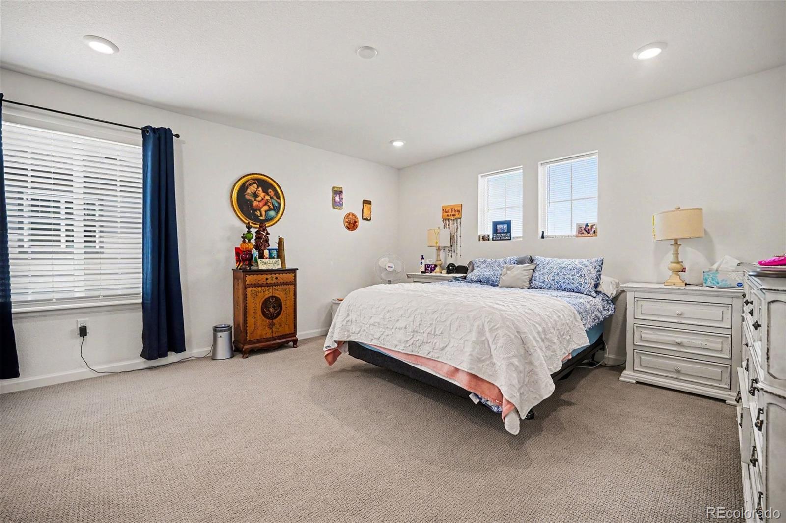 MLS Image #9 for 18246  martinello drive,parker, Colorado