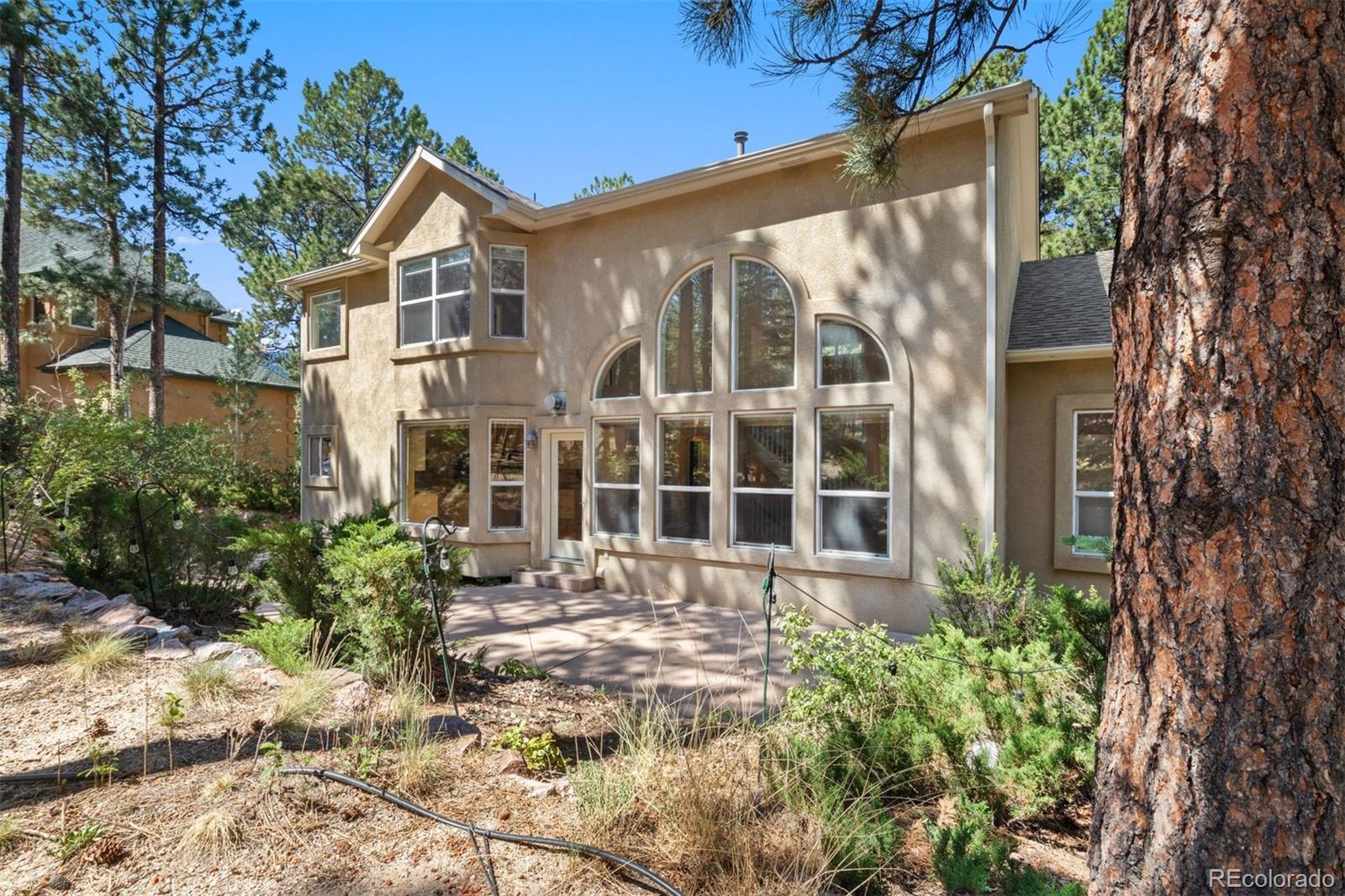 MLS Image #43 for 15930  longmeadow lane,colorado springs, Colorado