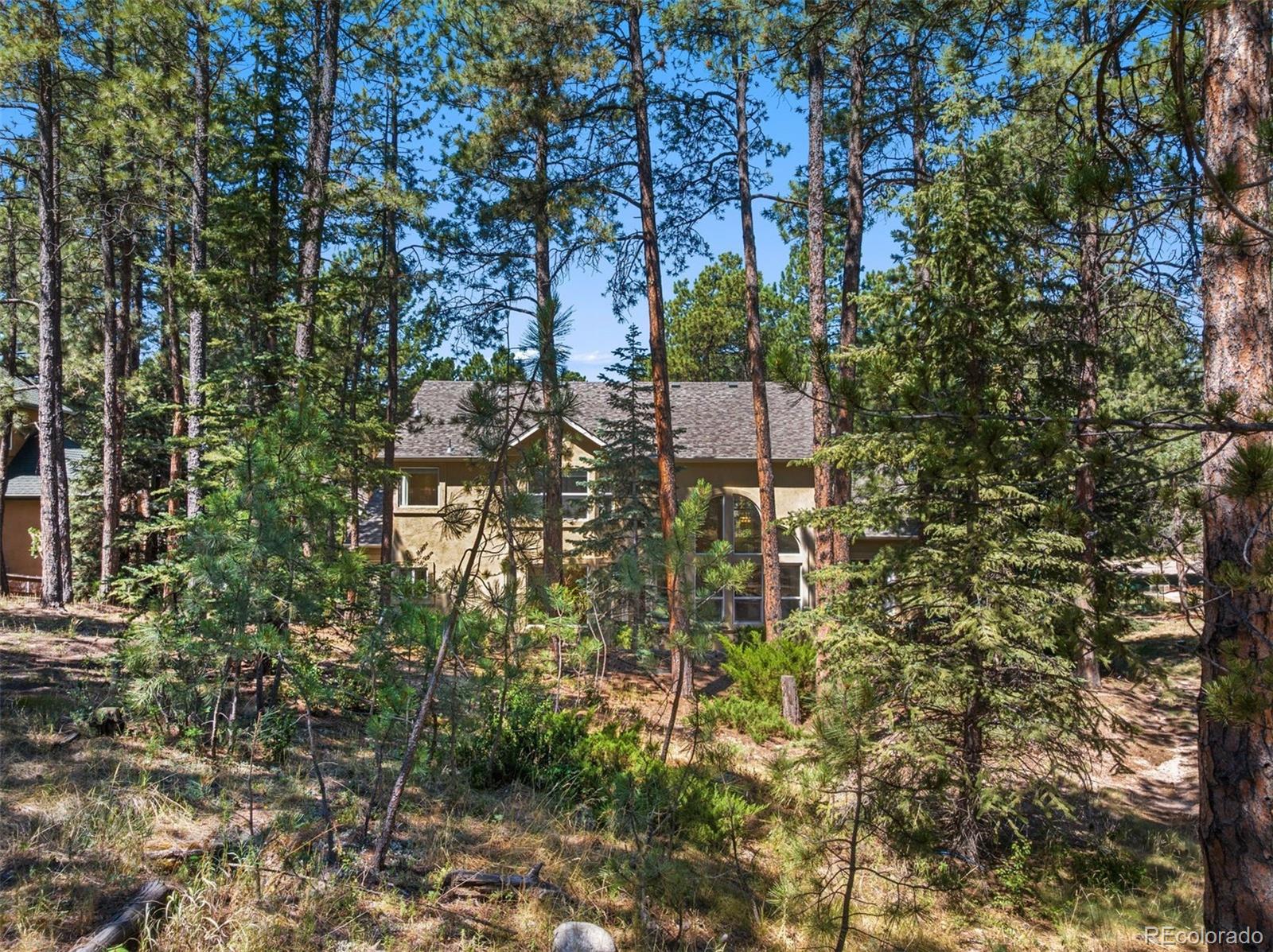 MLS Image #47 for 15930  longmeadow lane,colorado springs, Colorado