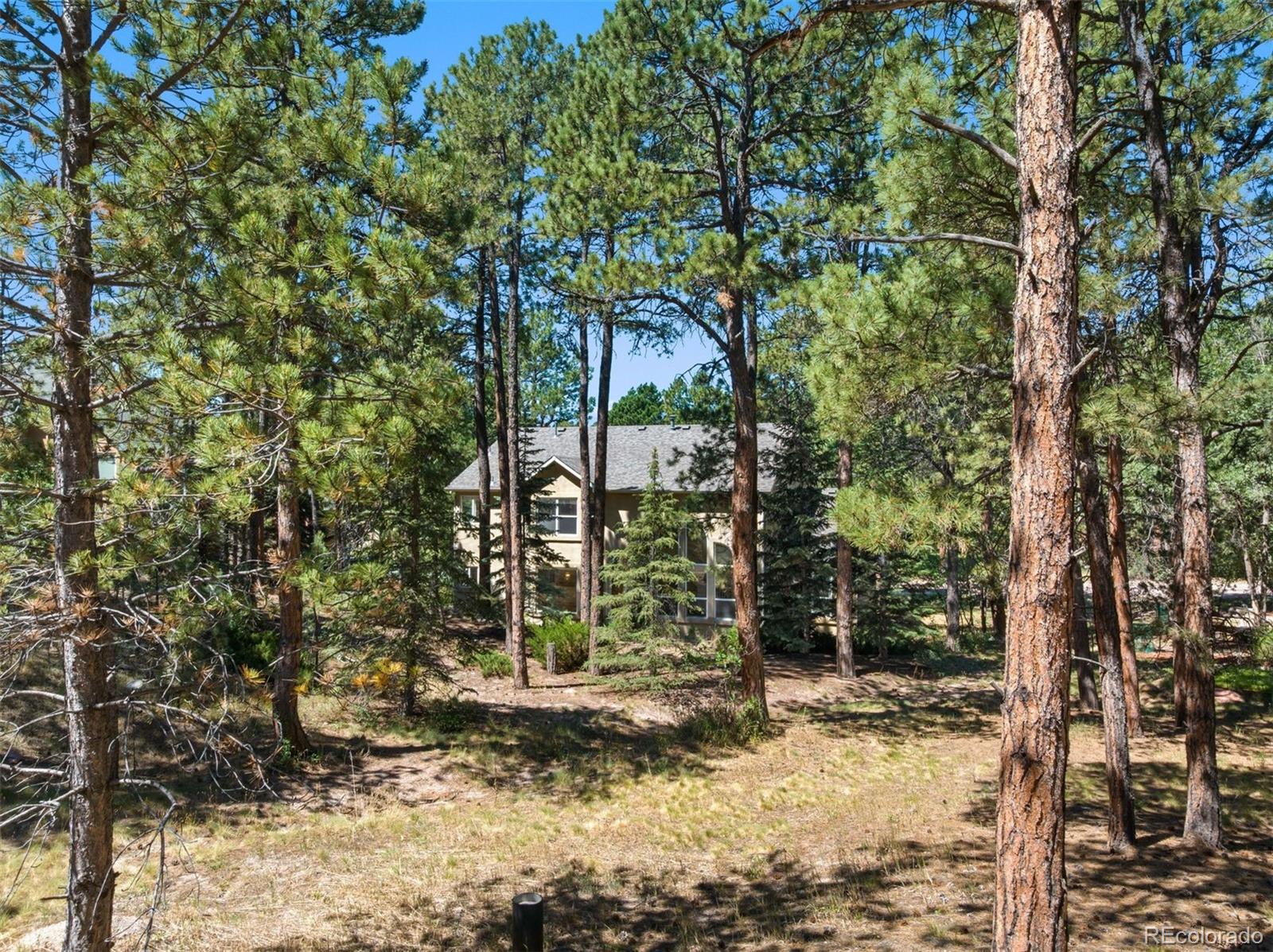 MLS Image #48 for 15930  longmeadow lane,colorado springs, Colorado