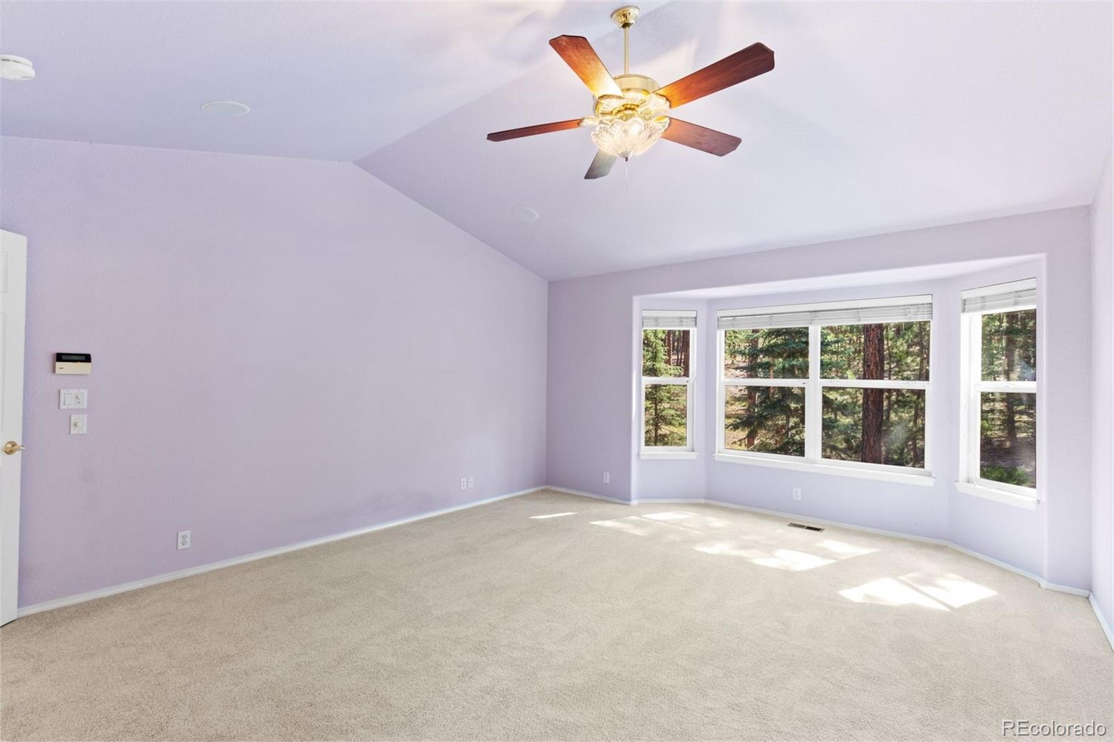 MLS Image #8 for 15930  longmeadow lane,colorado springs, Colorado