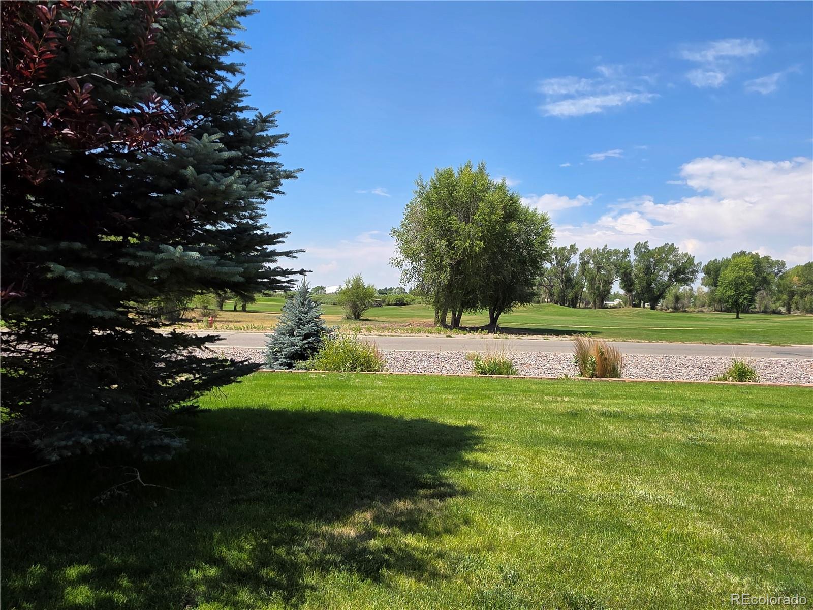 MLS Image #4 for 800  cottonwood circle,alamosa, Colorado