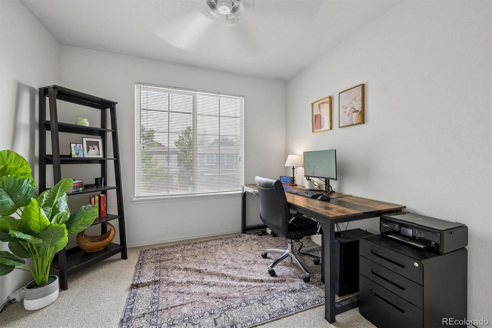 MLS Image #19 for 9659  queenscliffe drive,littleton, Colorado