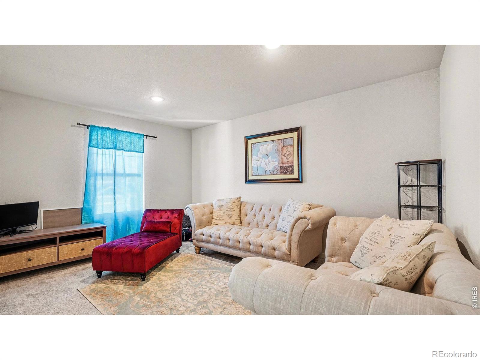 MLS Image #31 for 3204  loot drive,colorado springs, Colorado