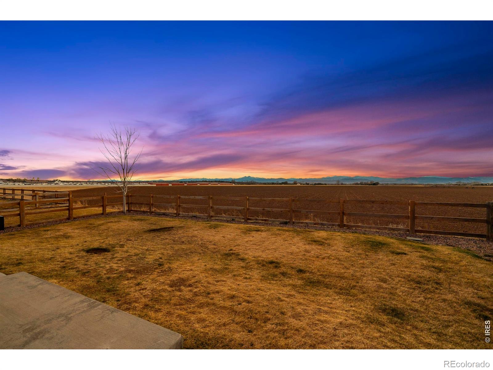 MLS Image #39 for 860  camberly drive,windsor, Colorado