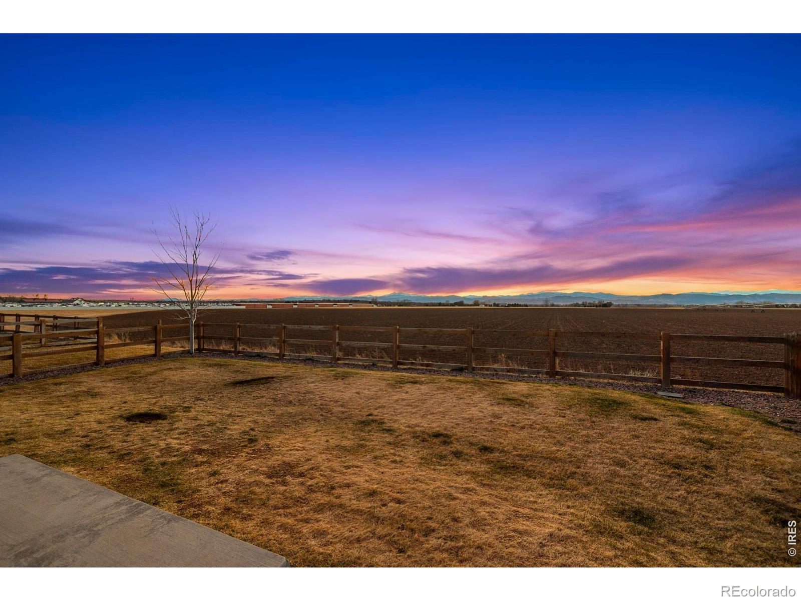 MLS Image #41 for 860  camberly drive,windsor, Colorado