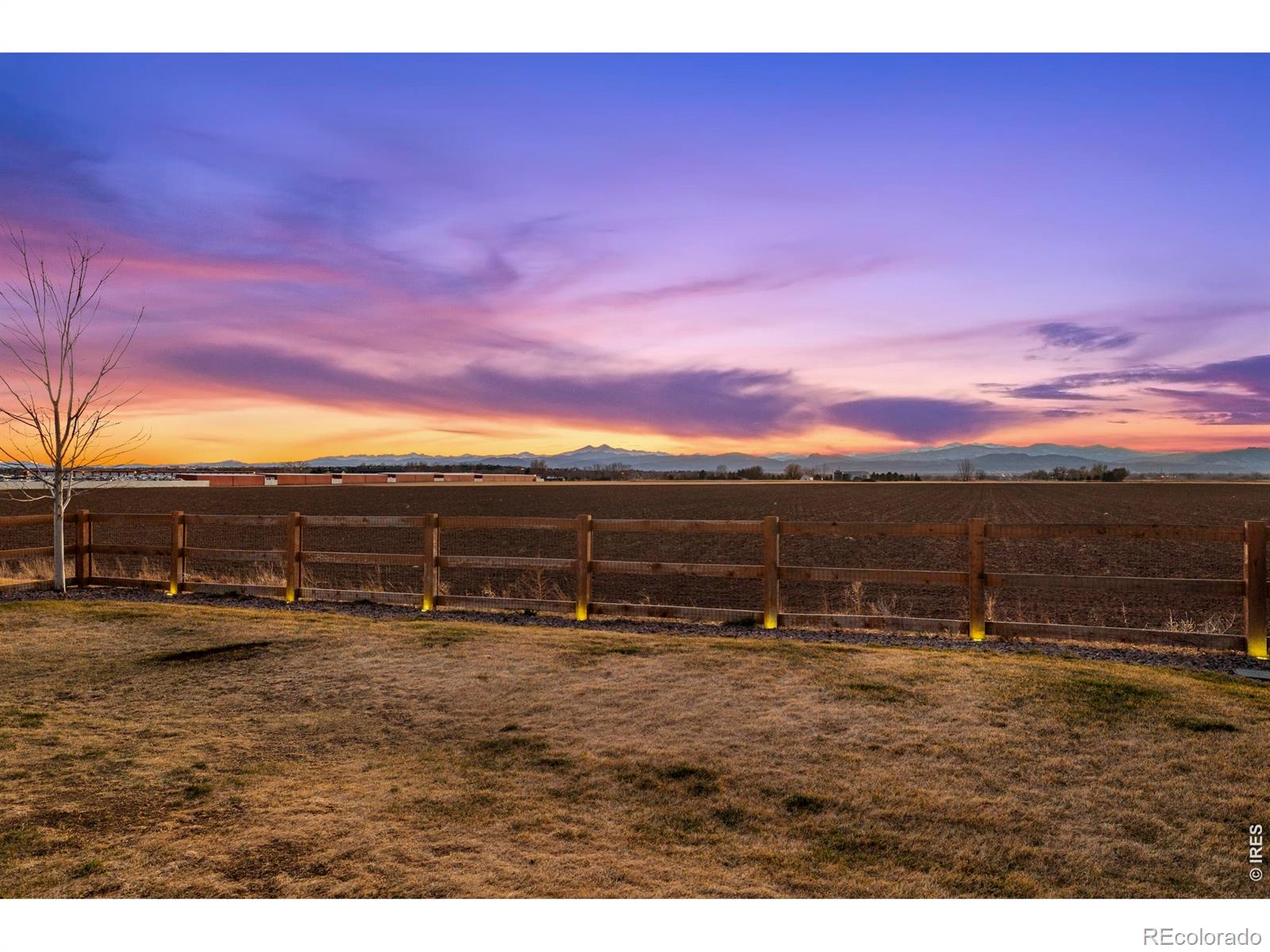 MLS Image #42 for 860  camberly drive,windsor, Colorado