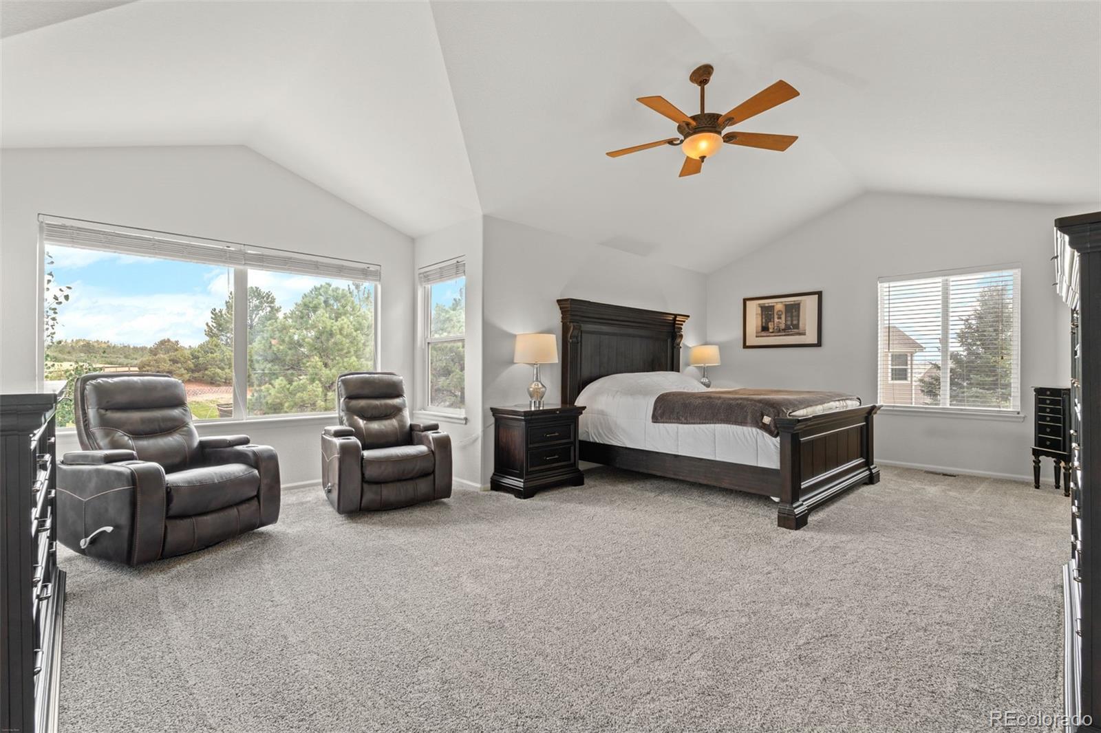 MLS Image #20 for 4160  black feather trail,castle rock, Colorado