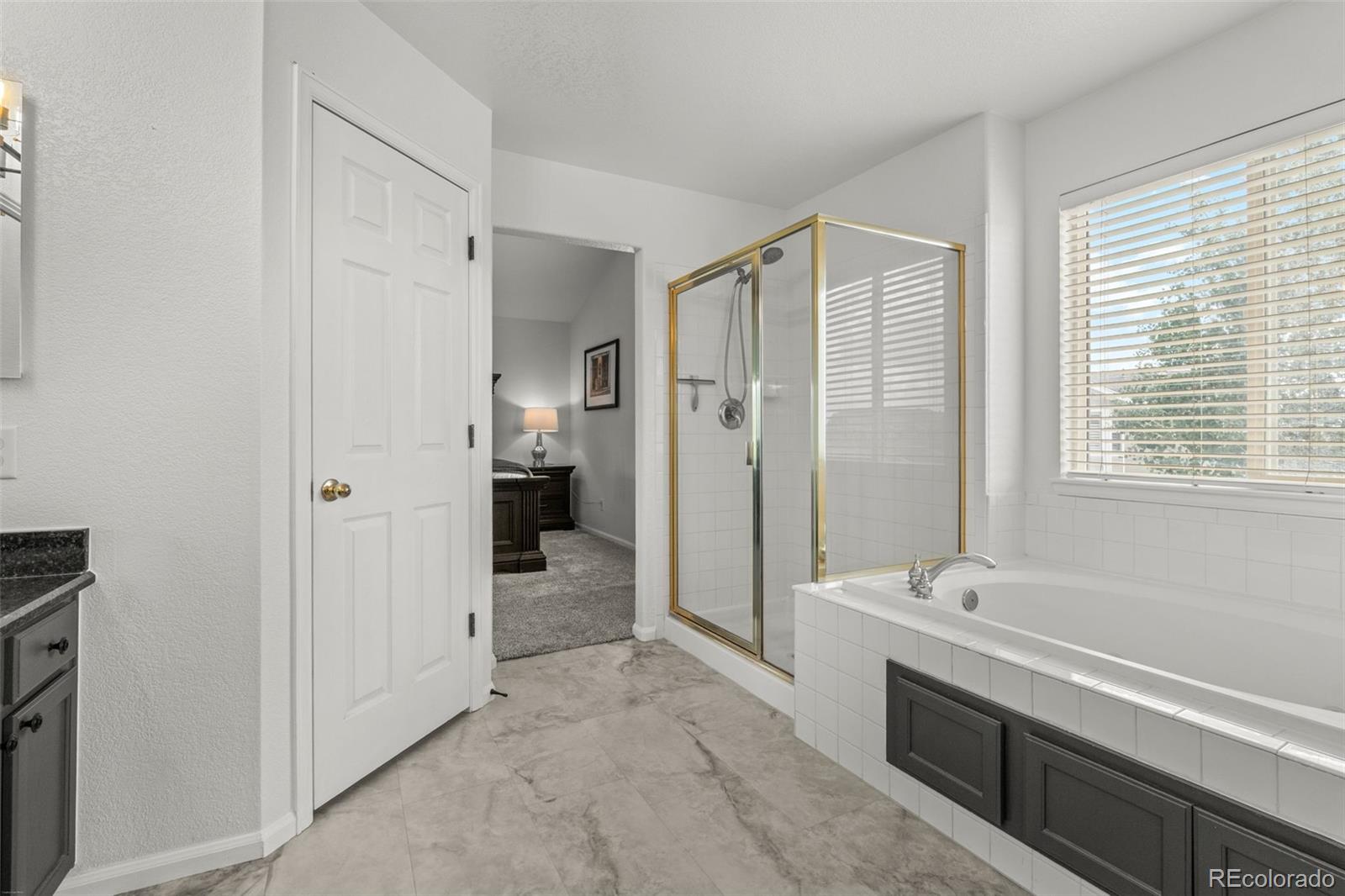 MLS Image #23 for 4160  black feather trail,castle rock, Colorado