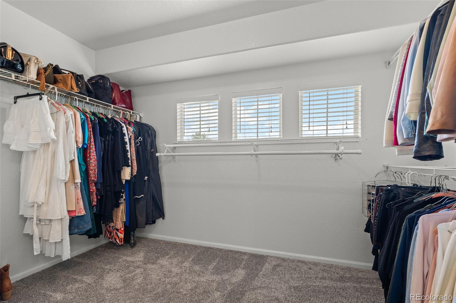 MLS Image #24 for 4160  black feather trail,castle rock, Colorado