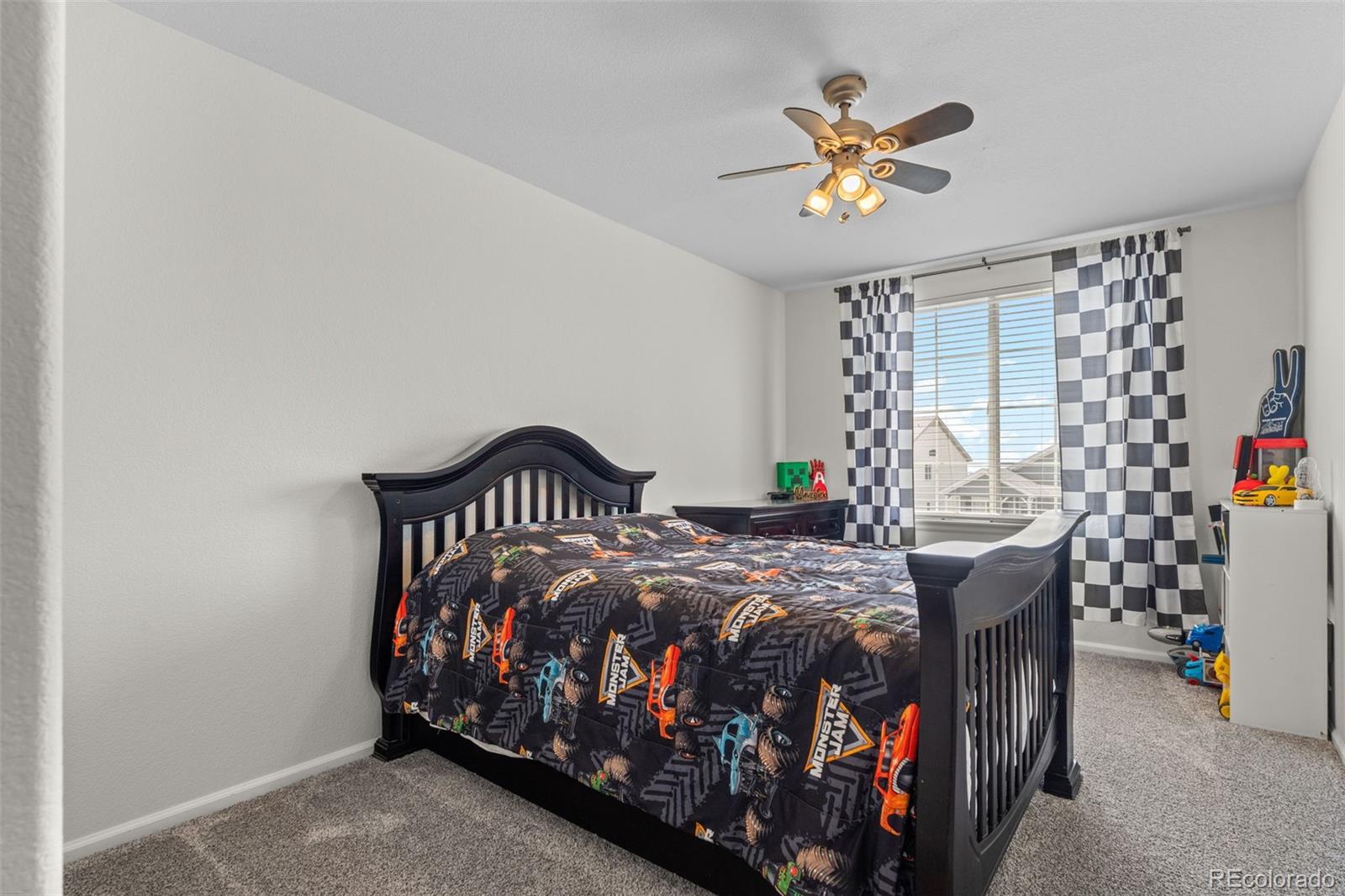 MLS Image #25 for 4160  black feather trail,castle rock, Colorado