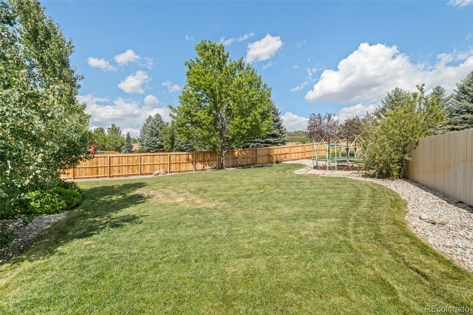 MLS Image #38 for 4160  black feather trail,castle rock, Colorado