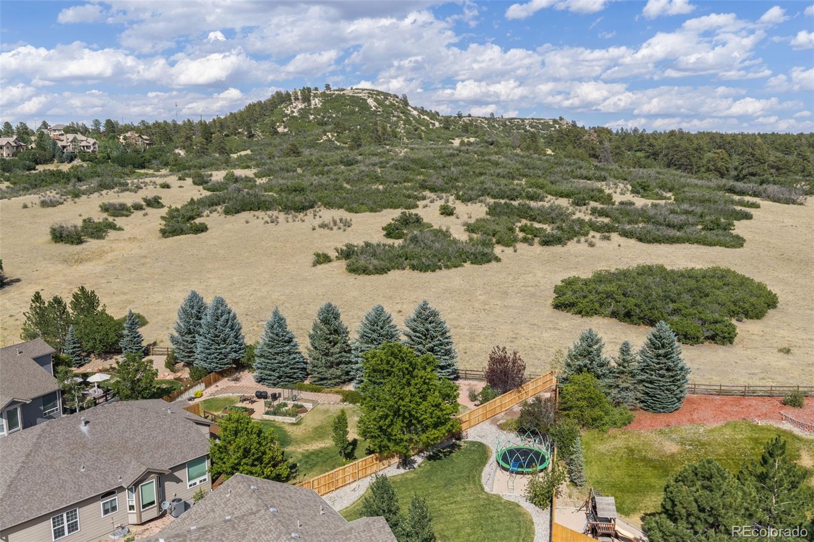MLS Image #44 for 4160  black feather trail,castle rock, Colorado