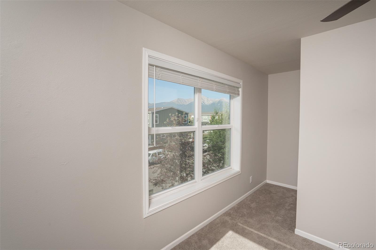 MLS Image #15 for 296  barnwood drive,buena vista, Colorado