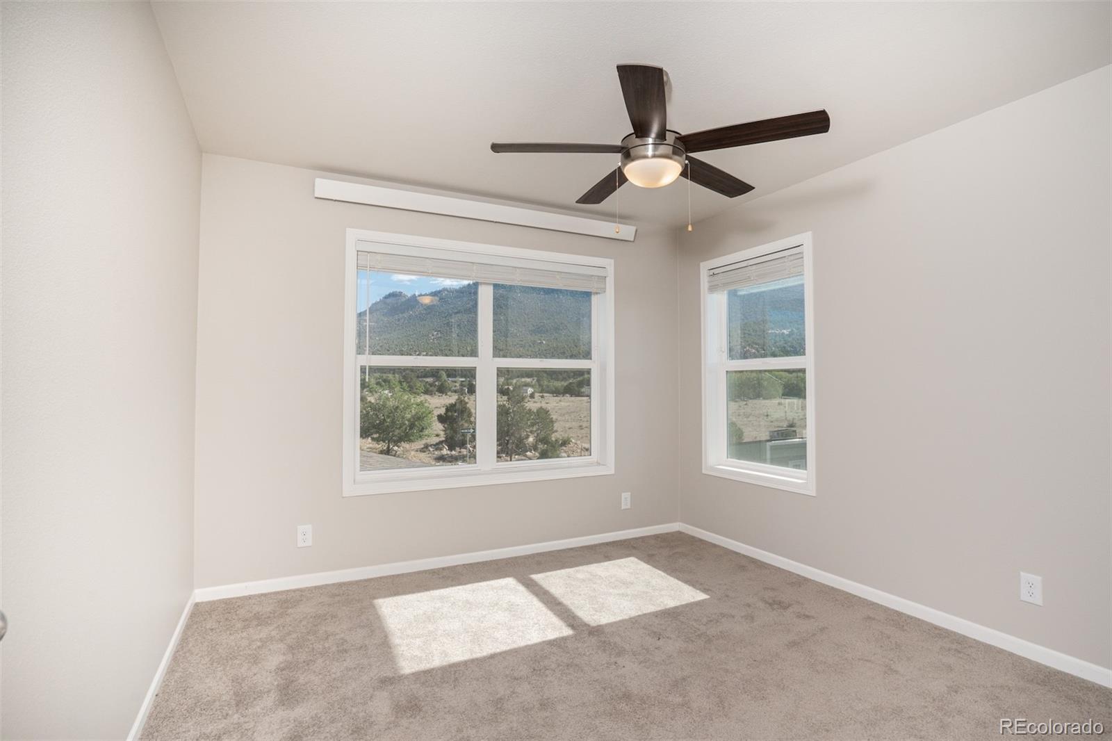 MLS Image #18 for 296  barnwood drive,buena vista, Colorado