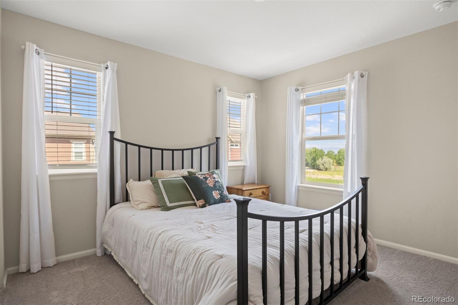 MLS Image #23 for 1245  shale way,erie, Colorado