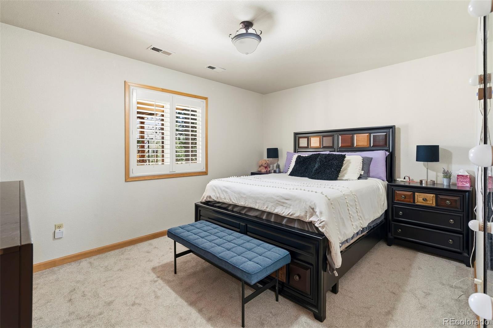 MLS Image #28 for 541  beaver trail,bailey, Colorado