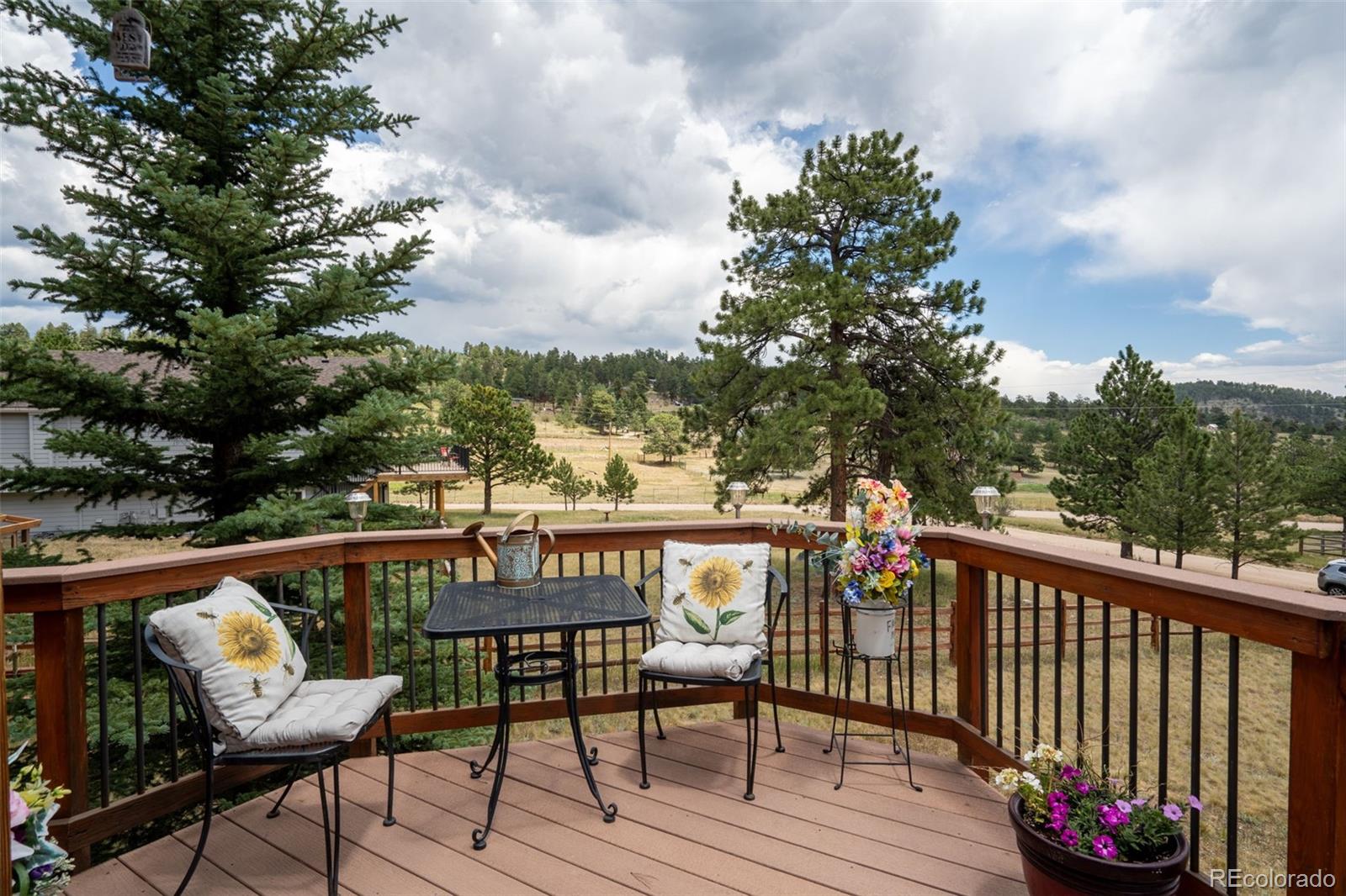 MLS Image #5 for 541  beaver trail,bailey, Colorado