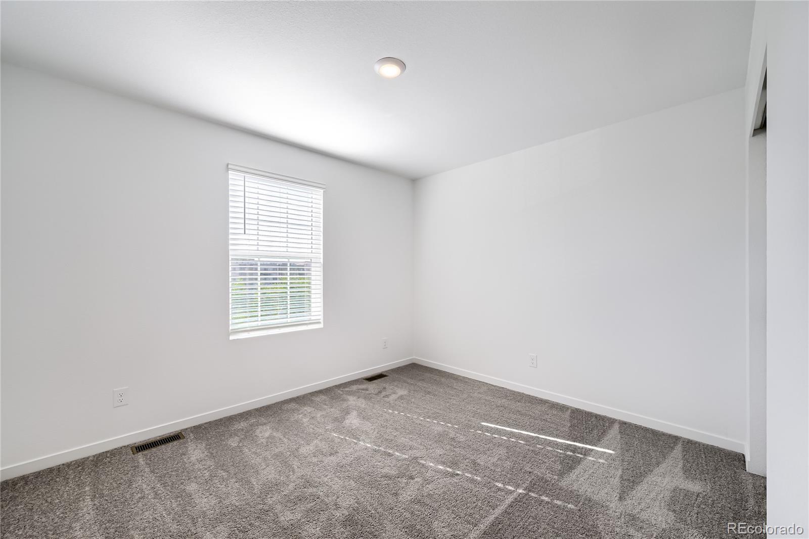MLS Image #8 for 2542  galena peak heights,colorado springs, Colorado