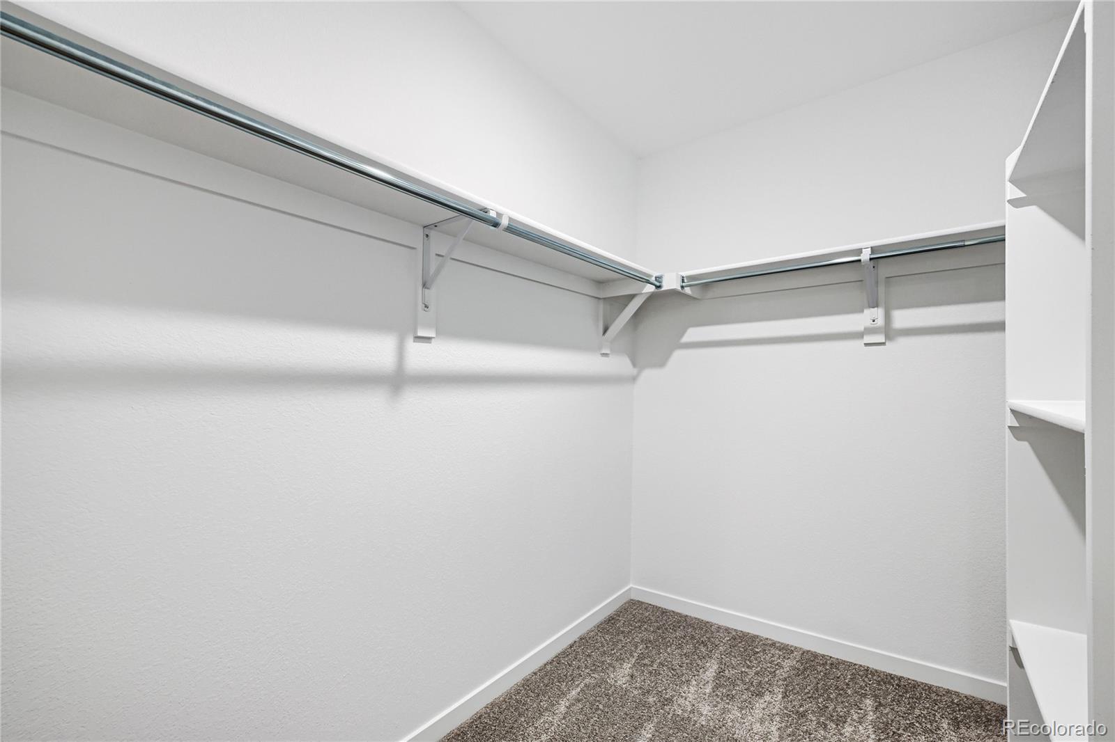 MLS Image #9 for 2542  galena peak heights,colorado springs, Colorado