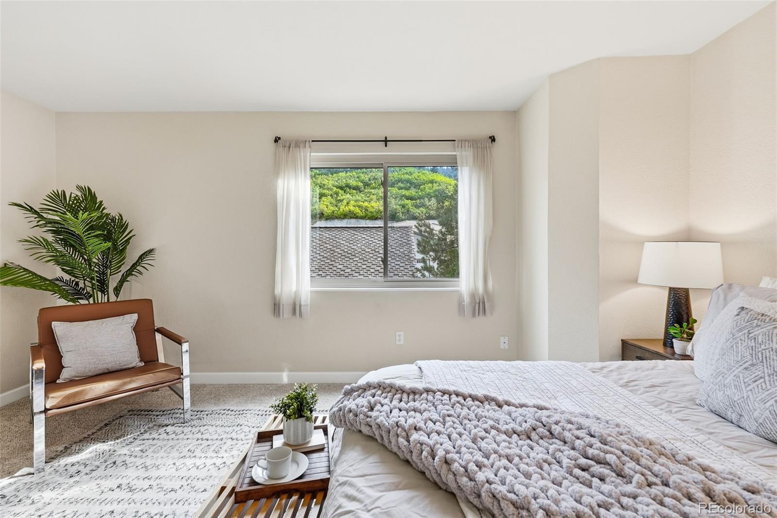 MLS Image #27 for 6846  surrey trail,littleton, Colorado