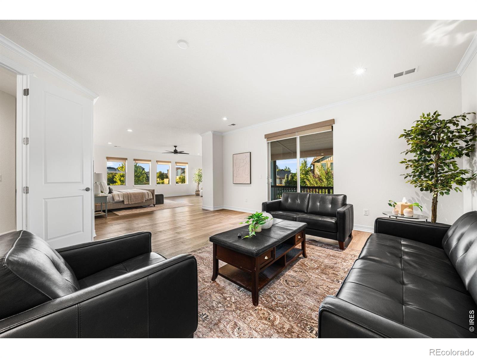MLS Image #19 for 6402  foothills view place,fort collins, Colorado