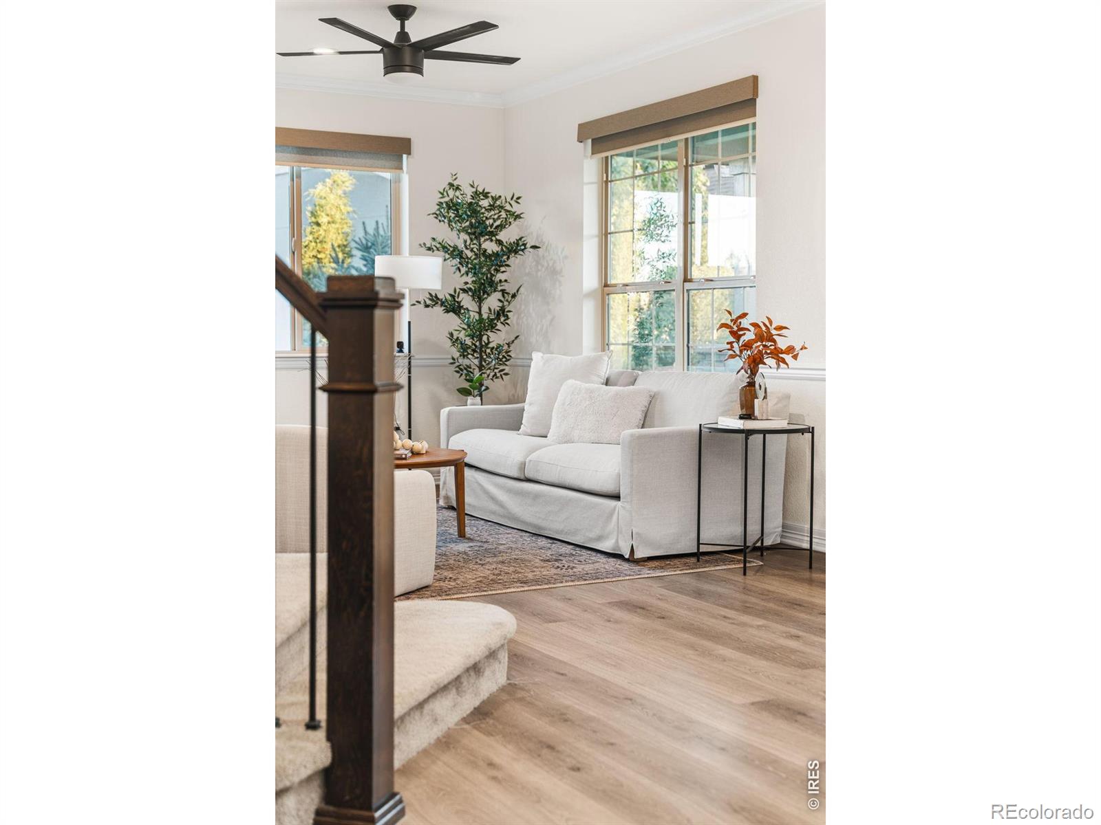 MLS Image #4 for 6402  foothills view place,fort collins, Colorado