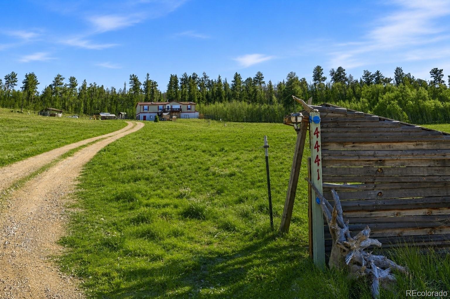 MLS Image #1 for 4441  goldenburg canyon road,hartsel, Colorado