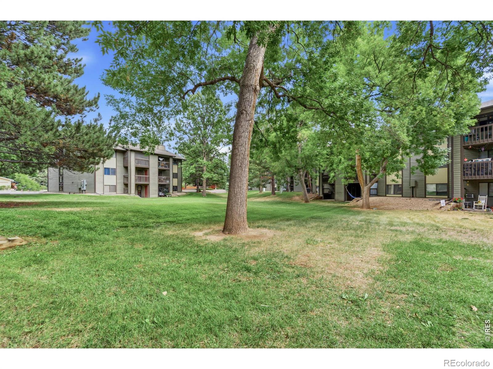 MLS Image #17 for 925  columbia road,fort collins, Colorado