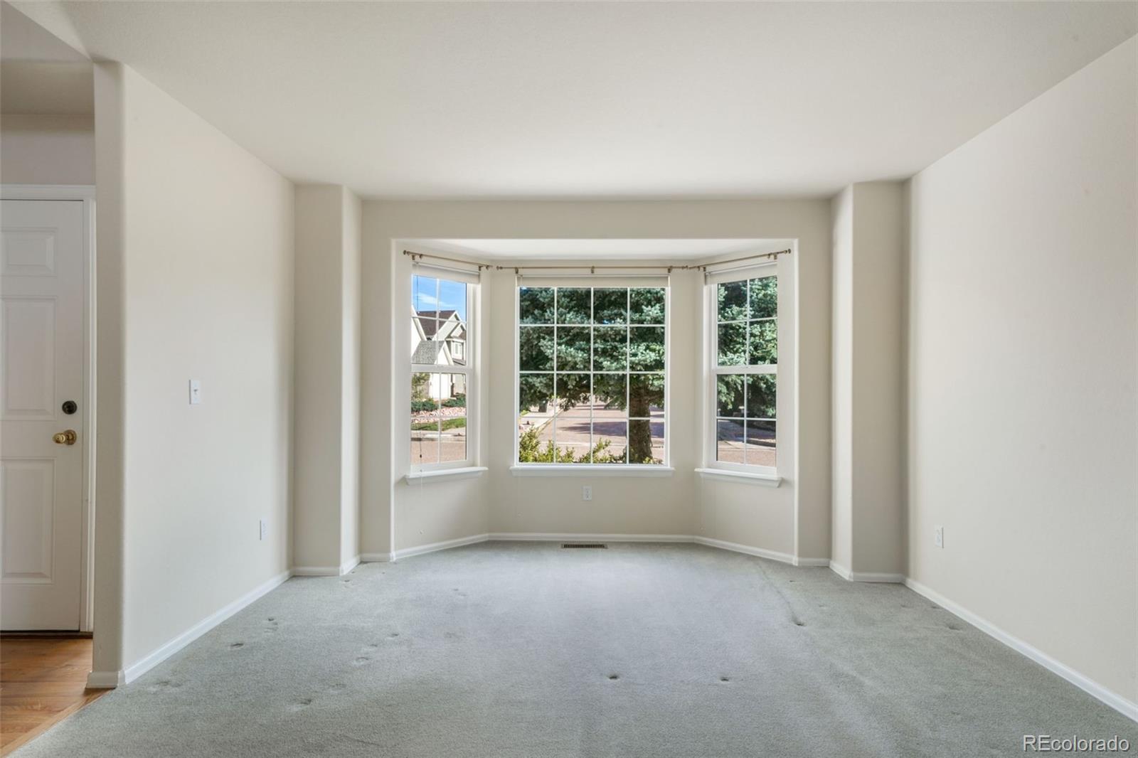 MLS Image #16 for 324  fox run circle,colorado springs, Colorado