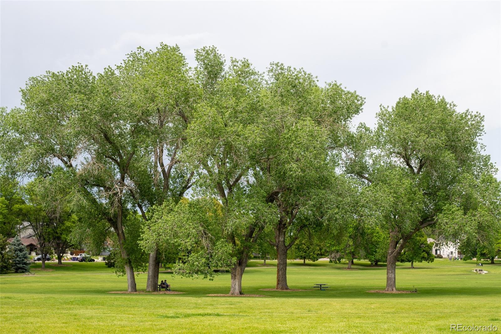 MLS Image #37 for 175 s jasmine street,denver, Colorado