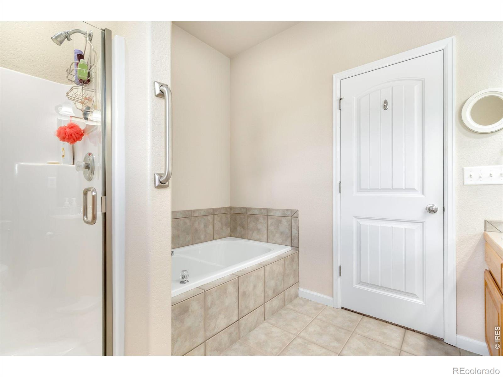 MLS Image #16 for 3793  wine cup street,wellington, Colorado