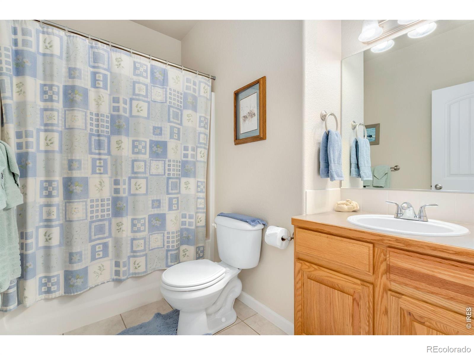 MLS Image #19 for 3793  wine cup street,wellington, Colorado