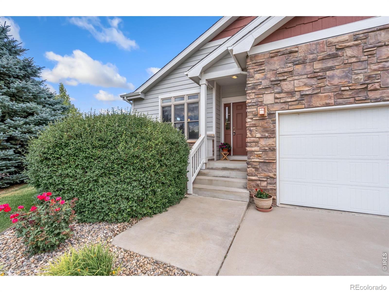 MLS Image #2 for 3793  wine cup street,wellington, Colorado