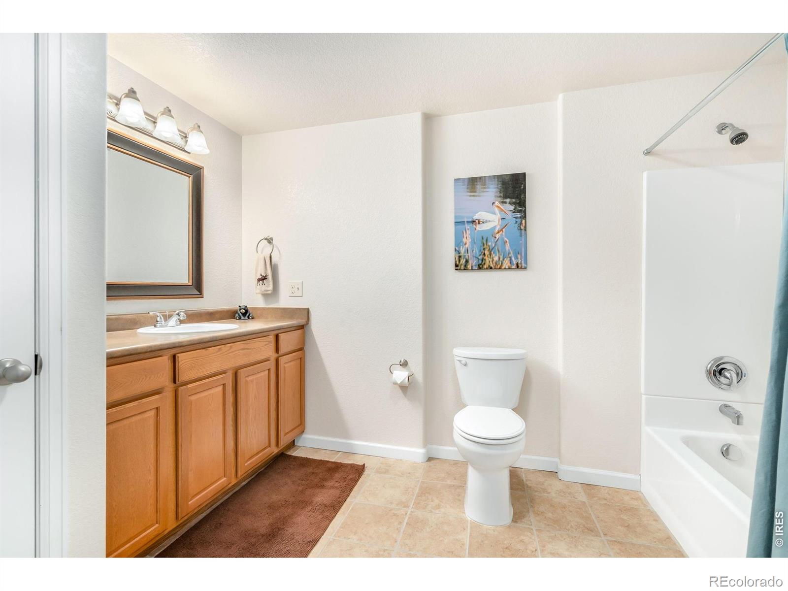 MLS Image #29 for 3793  wine cup street,wellington, Colorado