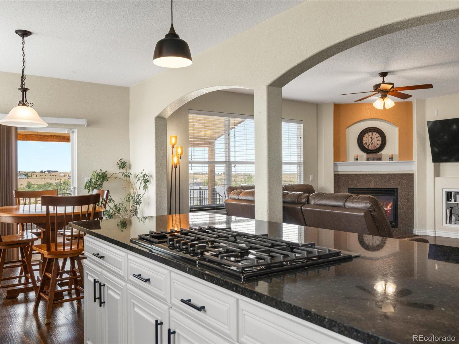 MLS Image #16 for 3315  paintbrush lane,parker, Colorado