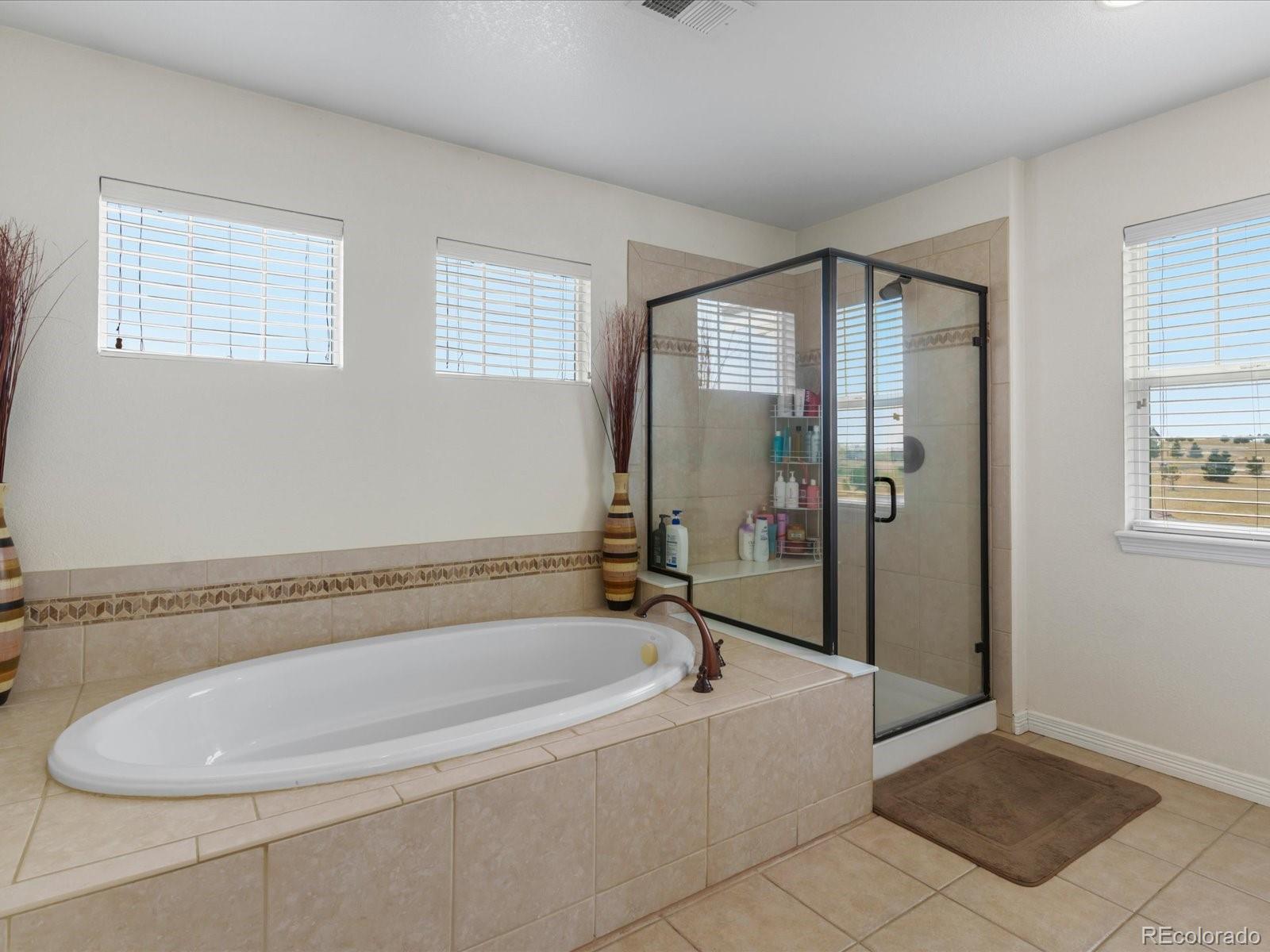MLS Image #31 for 3315  paintbrush lane,parker, Colorado