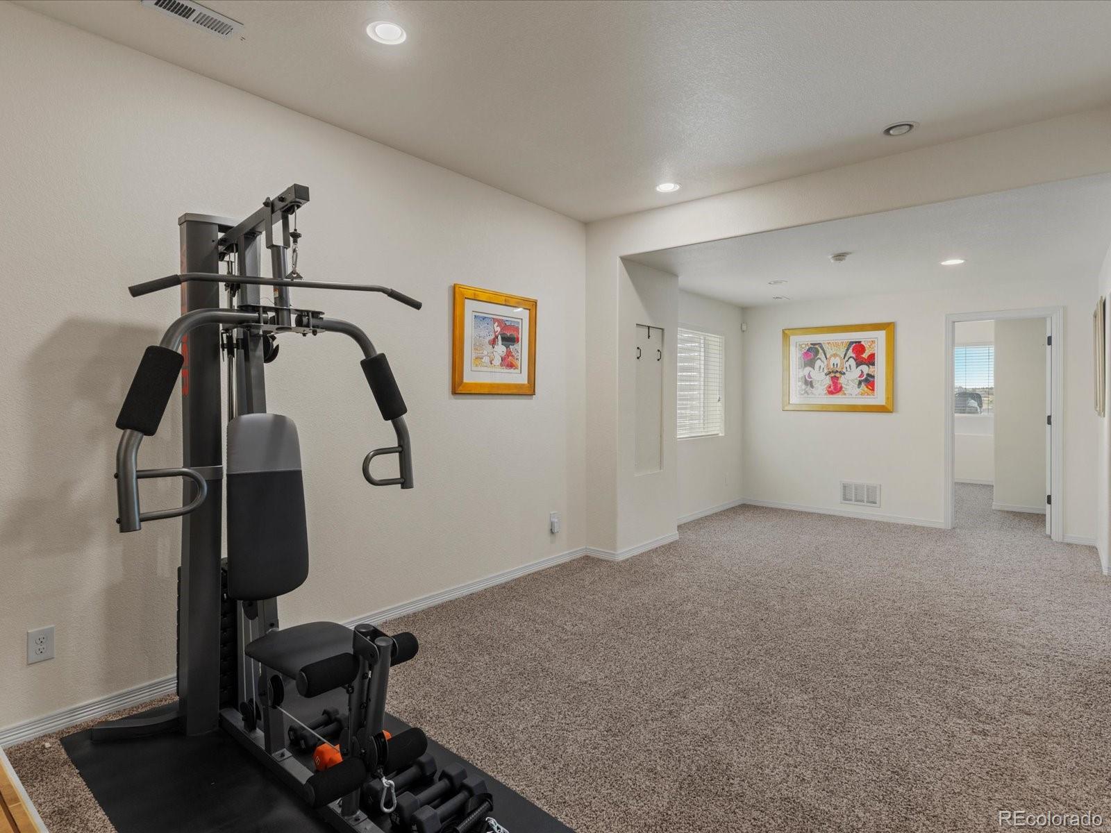MLS Image #43 for 3315  paintbrush lane,parker, Colorado