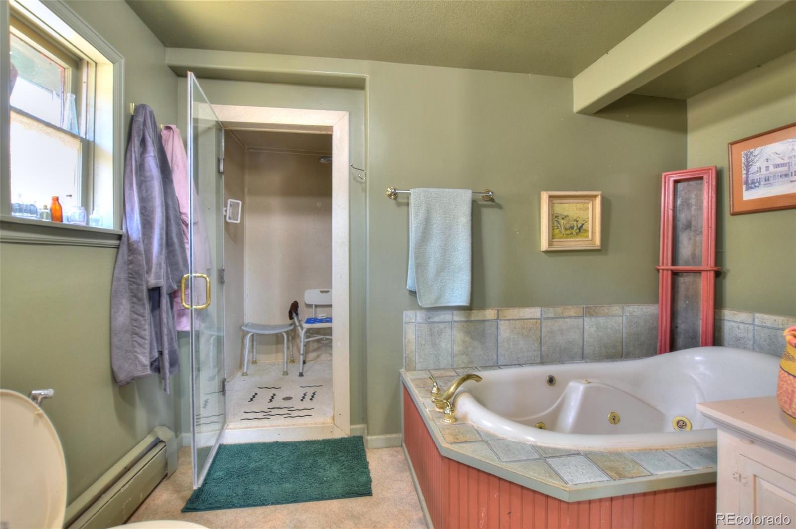 MLS Image #17 for 3960  county road 5 ,fairplay, Colorado