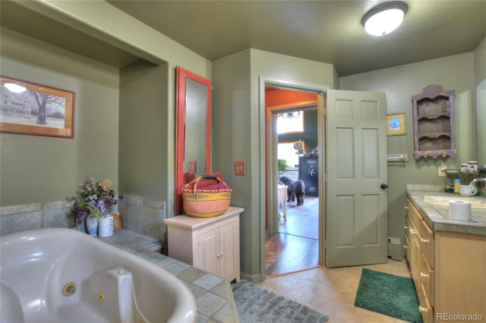 MLS Image #18 for 3960  county road 5 ,fairplay, Colorado