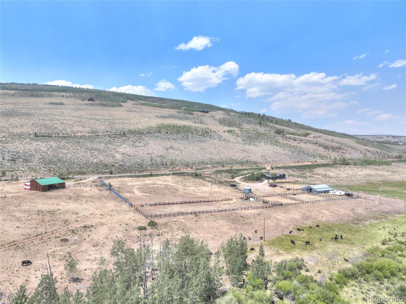 MLS Image #35 for 3960  county road 5 ,fairplay, Colorado