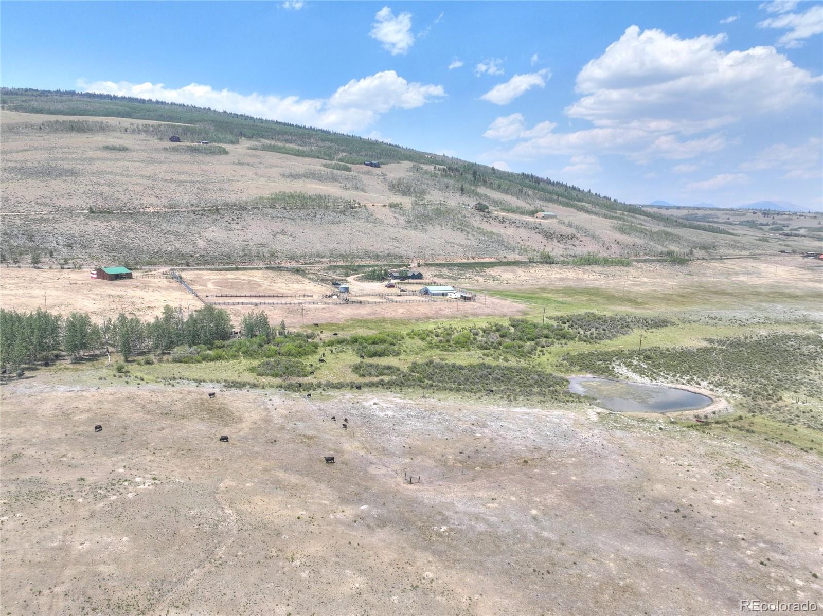 MLS Image #4 for 3960  county road 5 ,fairplay, Colorado