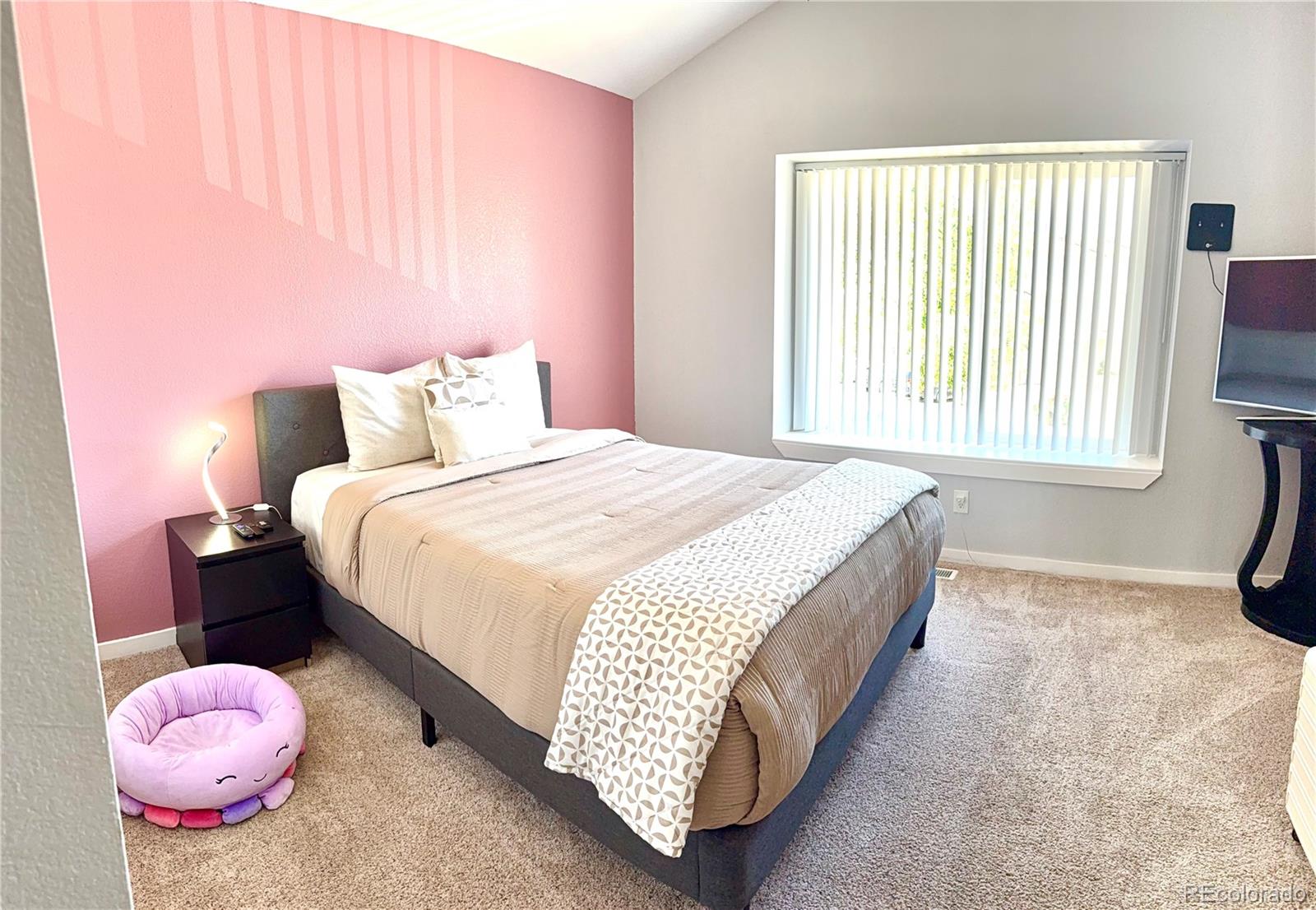 MLS Image #5 for 175 s sable boulevard,aurora, Colorado