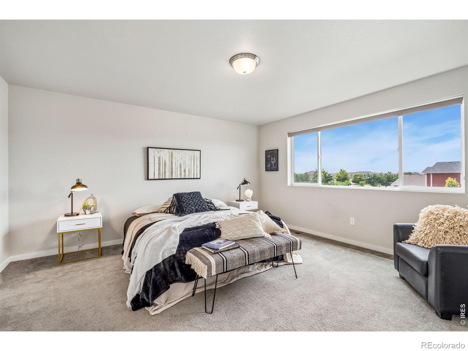 MLS Image #16 for 3787  river birch street,wellington, Colorado