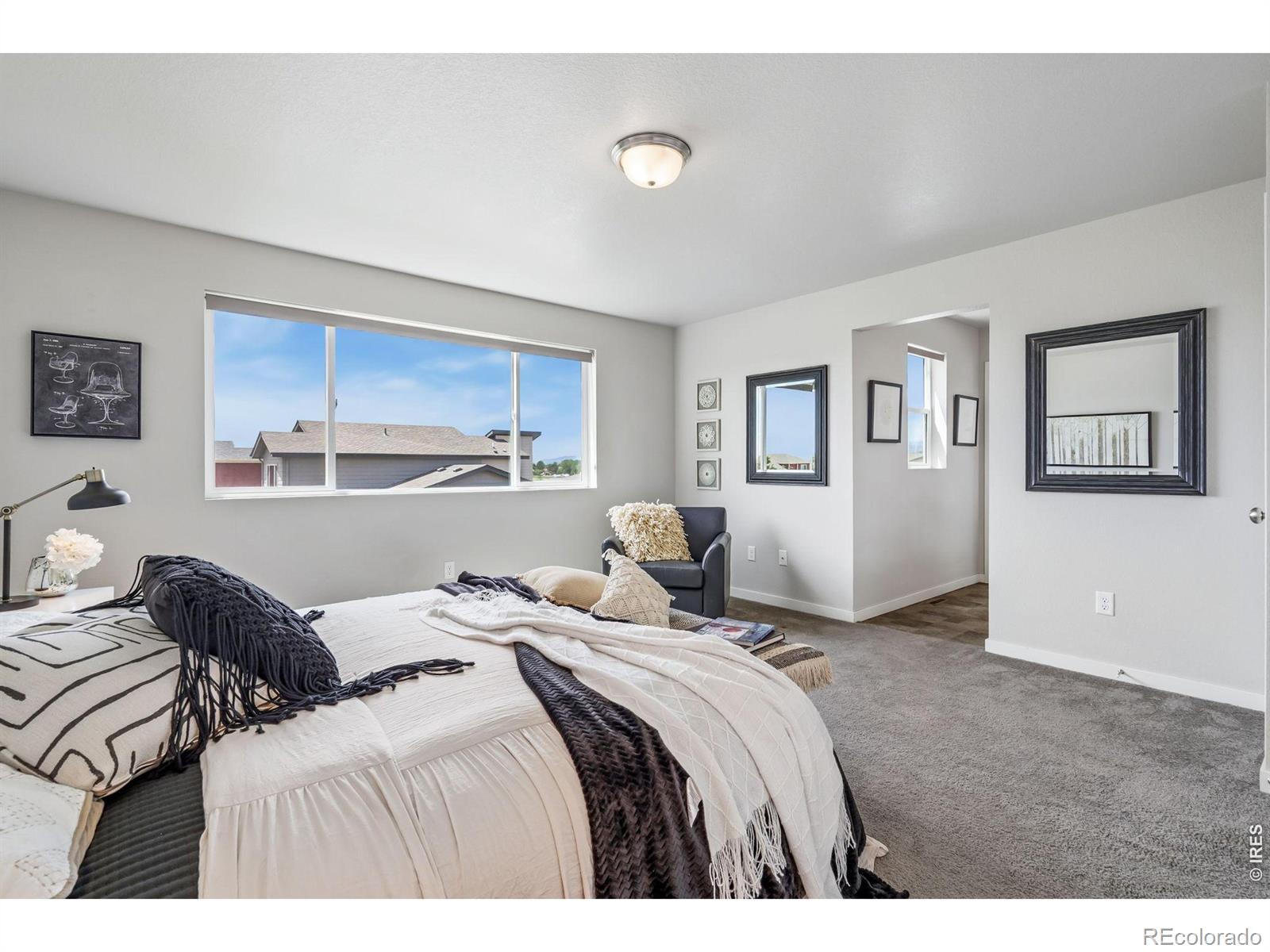 MLS Image #18 for 3787  river birch street,wellington, Colorado