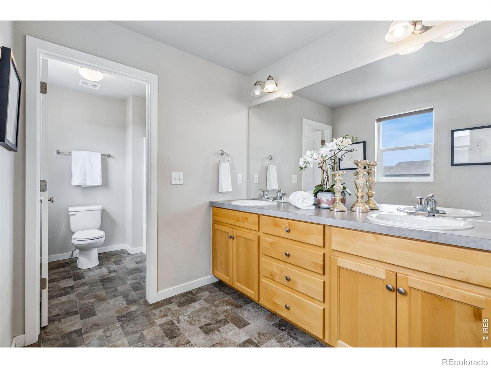 MLS Image #19 for 3787  river birch street,wellington, Colorado