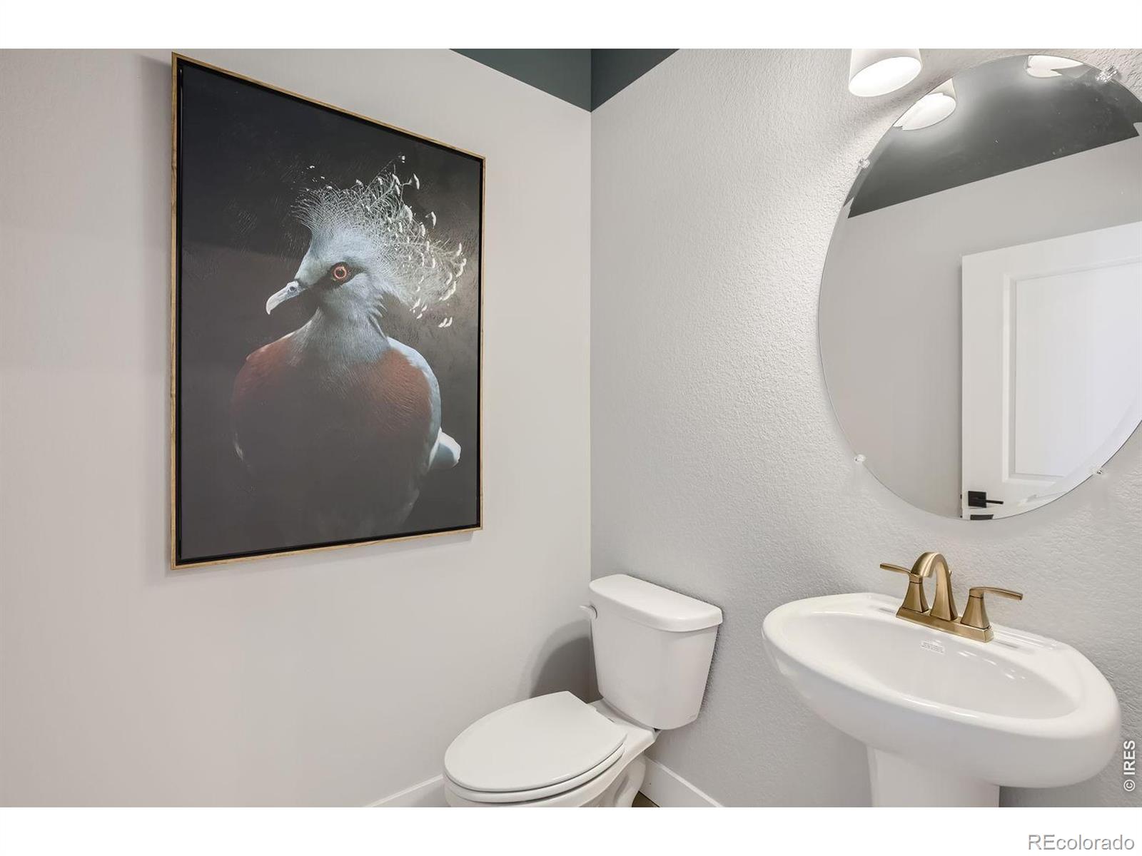 MLS Image #24 for 2841  bear springs circle,longmont, Colorado