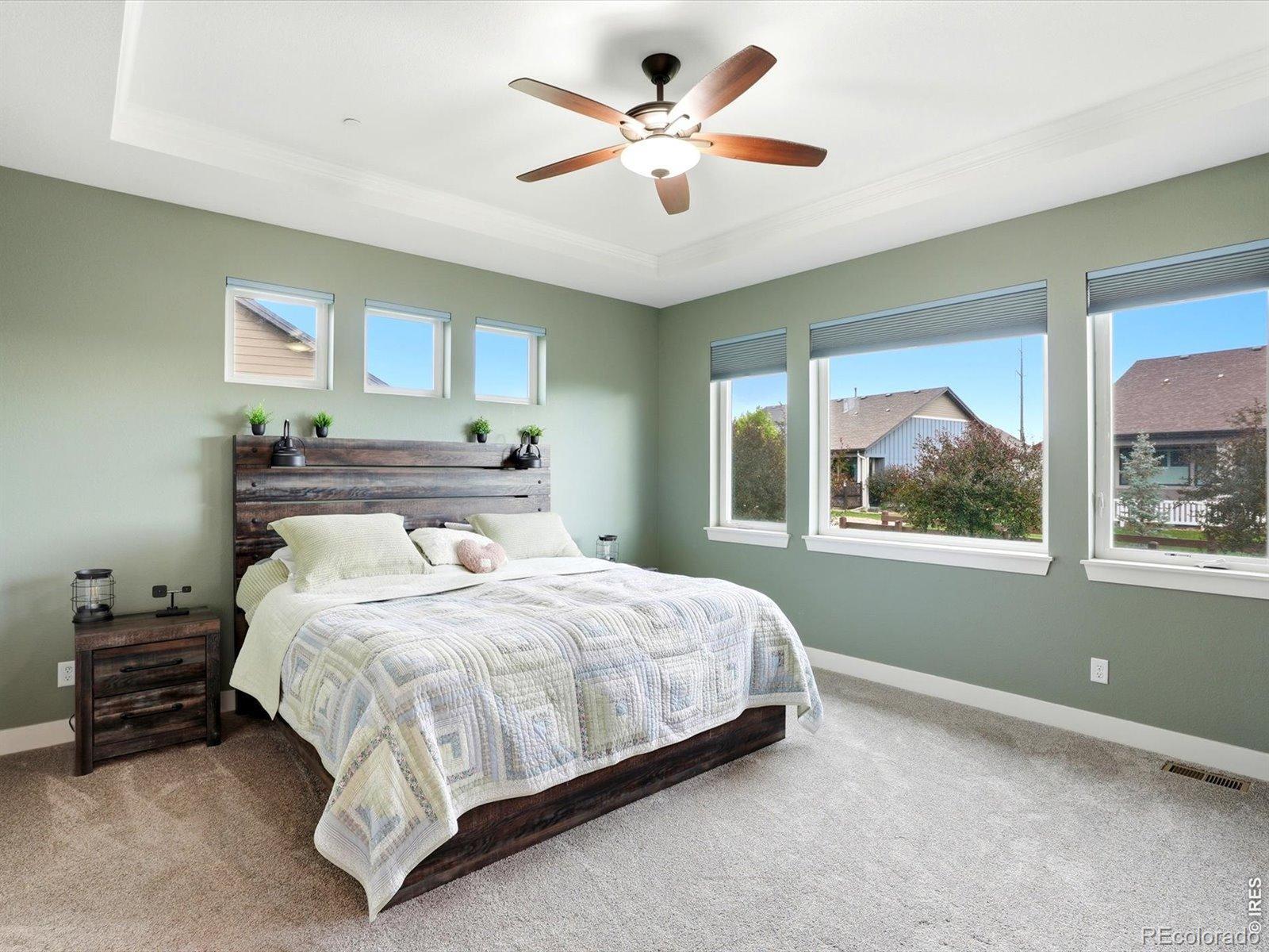 MLS Image #20 for 7014  wiggins court,timnath, Colorado