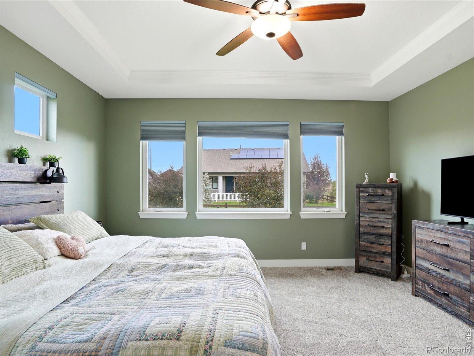 MLS Image #21 for 7014  wiggins court,timnath, Colorado